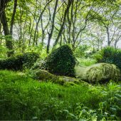 Lost Gardens of Heligan