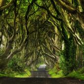Game of Thrones Tours and Experiences